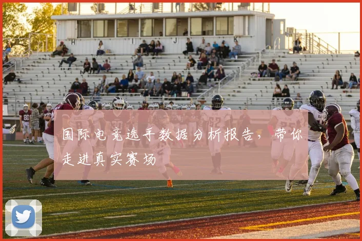 国际电竞选手数据分析报告,带你走进真实赛场